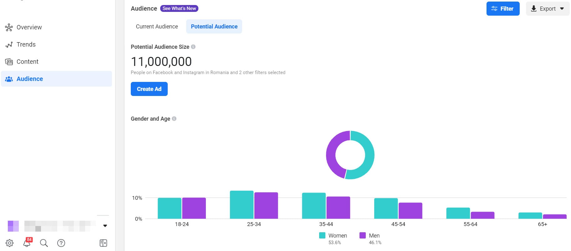 Facebook audience insights